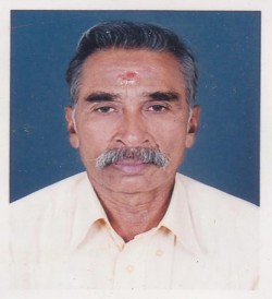 V S Subramanian